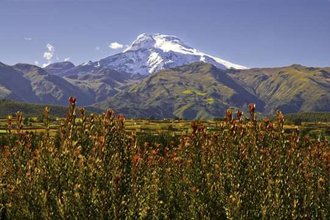 Quito und Hochland